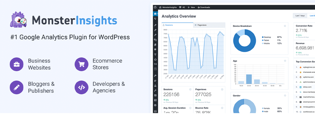 monsterinsights plugin